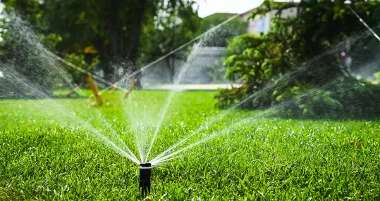 Lovazzani Jardin Paysagiste Grasse Installation Darrosage Automatique 1
